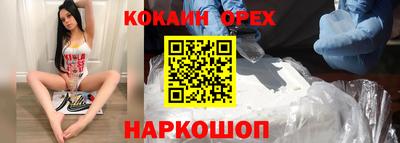 прущие грибы Будённовск