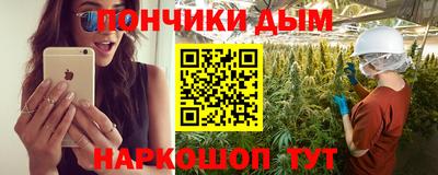 прущие грибы Будённовск