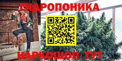 прущие грибы Будённовск