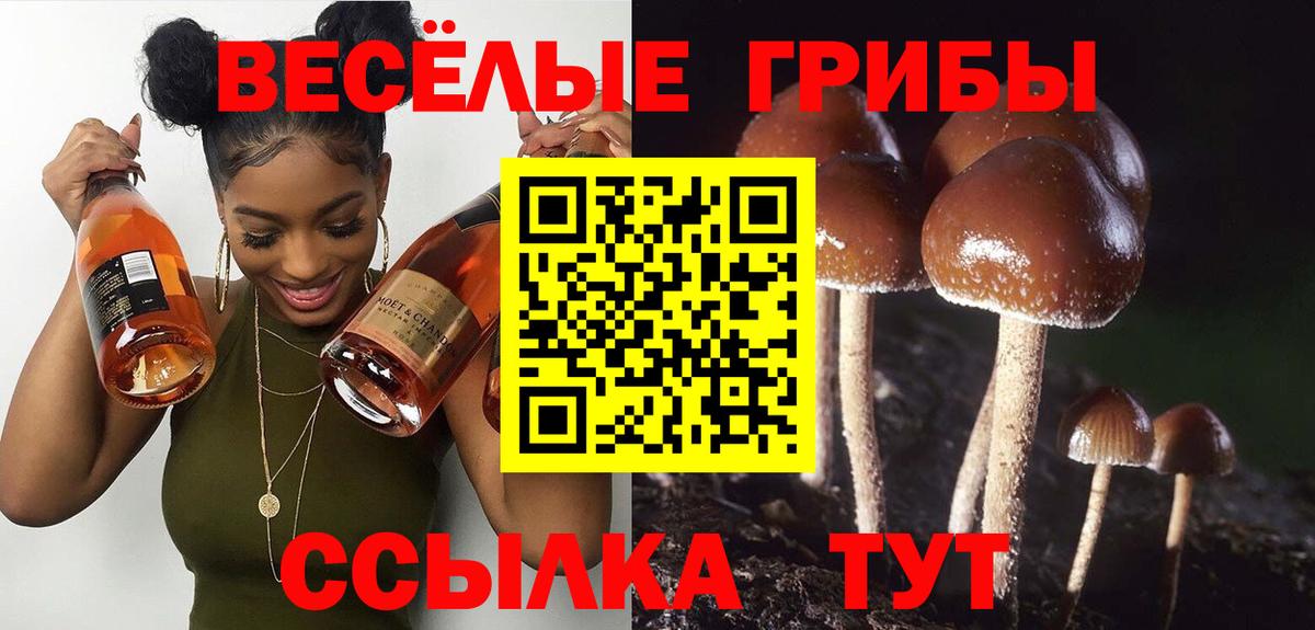 Галлюциногенные грибы Cubensis Рыбинск